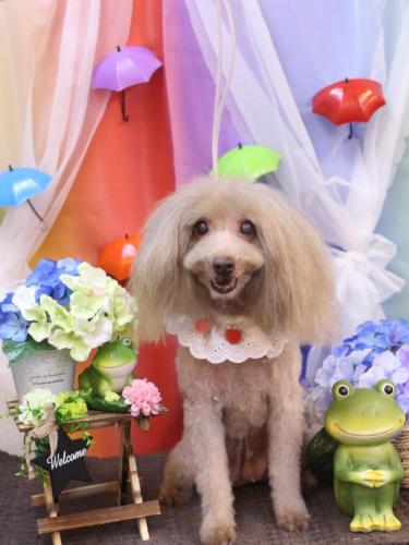 20230604もじょちゃん